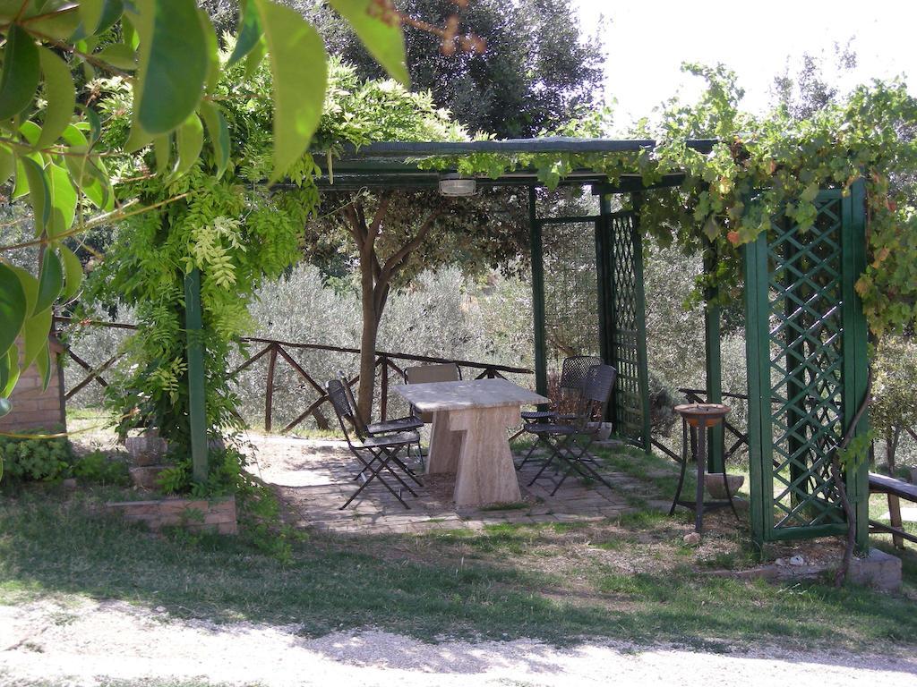 Villa Rosy Asyż Zewnętrze zdjęcie