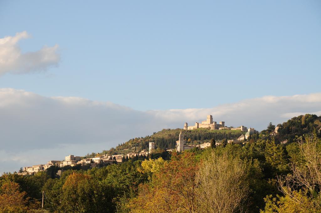 Villa Rosy Asyż Zewnętrze zdjęcie