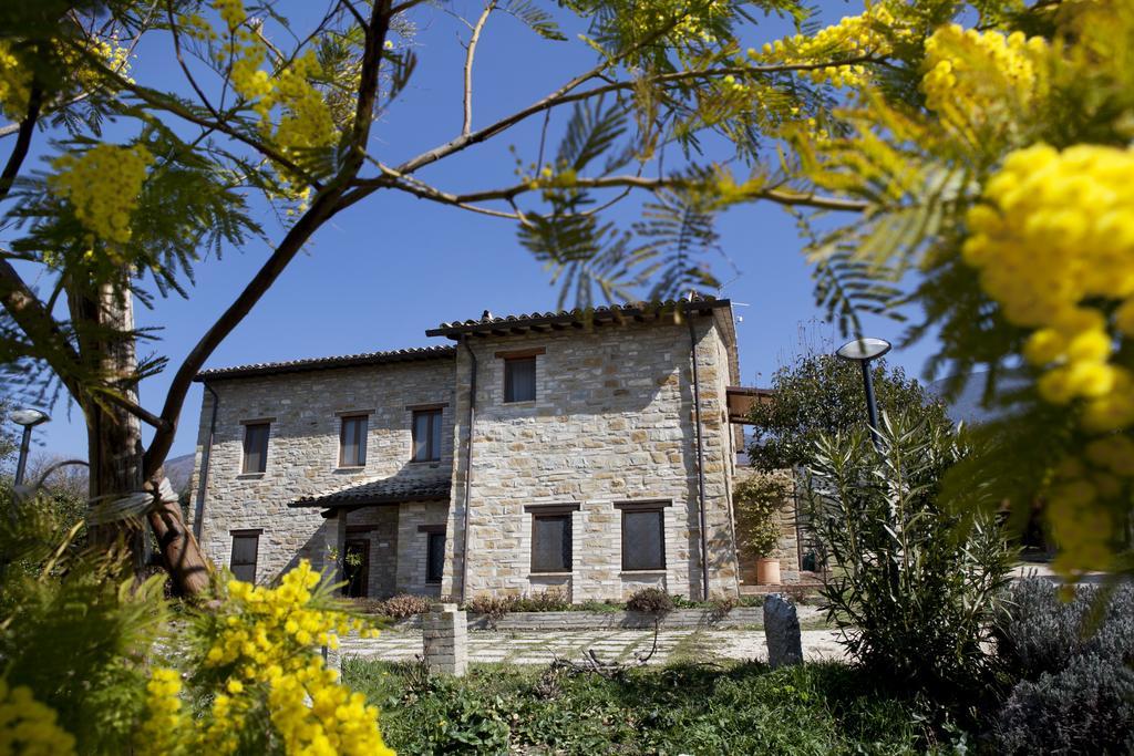 Villa Rosy Asyż Zewnętrze zdjęcie