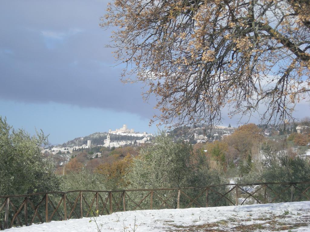 Villa Rosy Asyż Zewnętrze zdjęcie