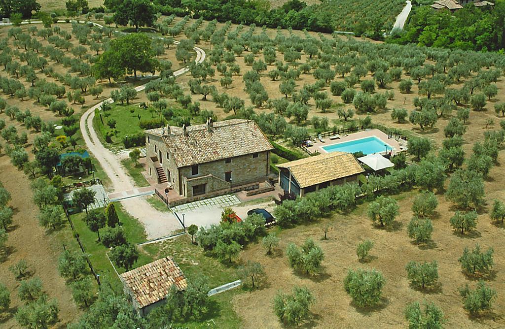 Villa Rosy Asyż Zewnętrze zdjęcie